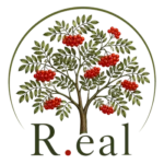 Logo for Real Small Business Support Southampton